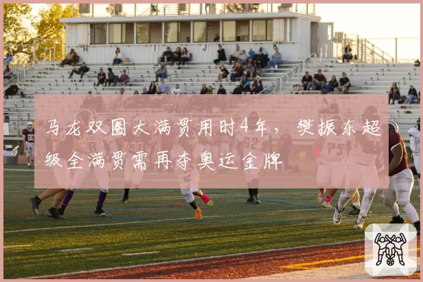 马龙双圈大满贯用时4年，樊振东超级全满贯需再夺奥运金牌