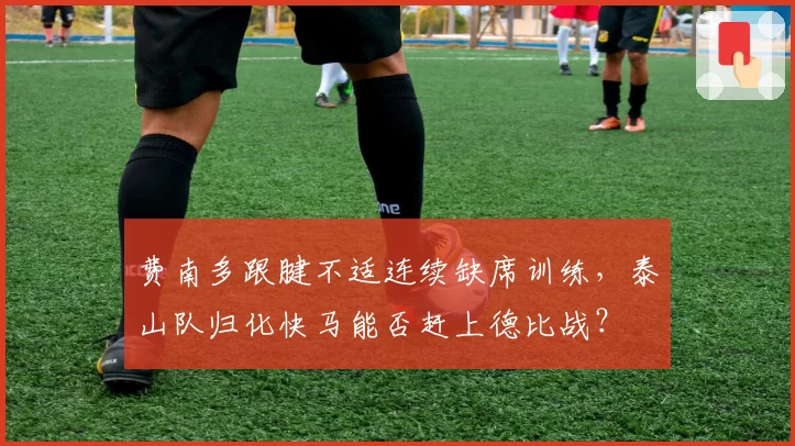 费南多跟腱不适连续缺席训练,泰山队归化快马能否赶上德比战?